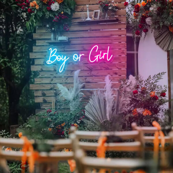 LED valgussilt (Boy or Girl?) - Image 2